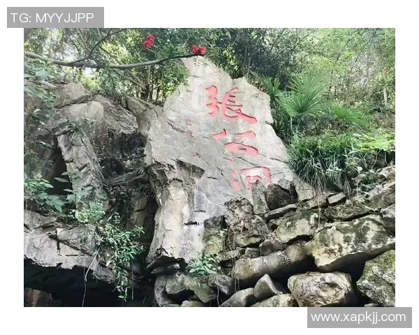 足球明星骑行探险体验单车与绿茵场的激情碰撞 足球明星骑行探险体验单车与绿茵场的激情碰撞