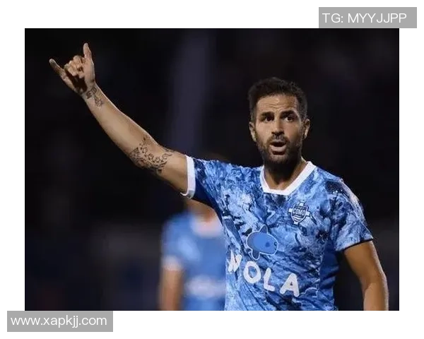 意大利足球明星的幽默瞬间与表情包背后的故事揭秘